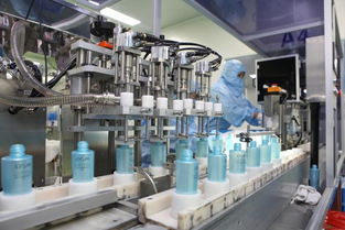 数字便民新举措 浙江政务服务网一站式办理不动产权属证明与IT服务